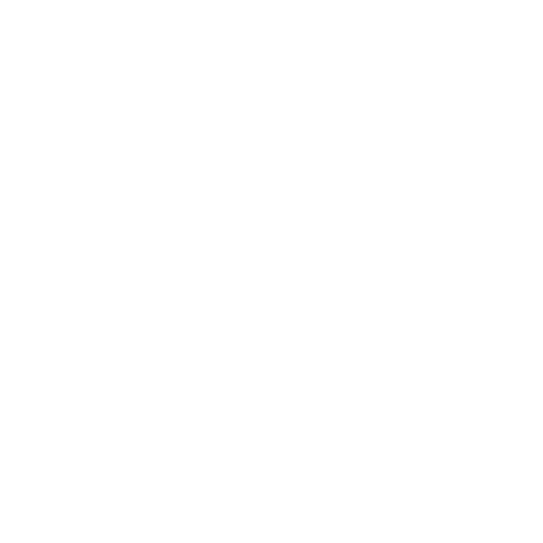 iconsoloblancosinfondo (1)